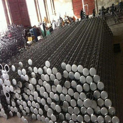 استخوان های کیسه فیلتر